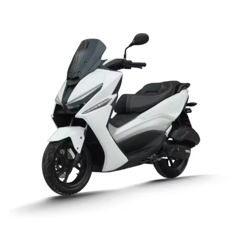 Vélo électrique longue distanc - Electric Scooter Adults avis et prix